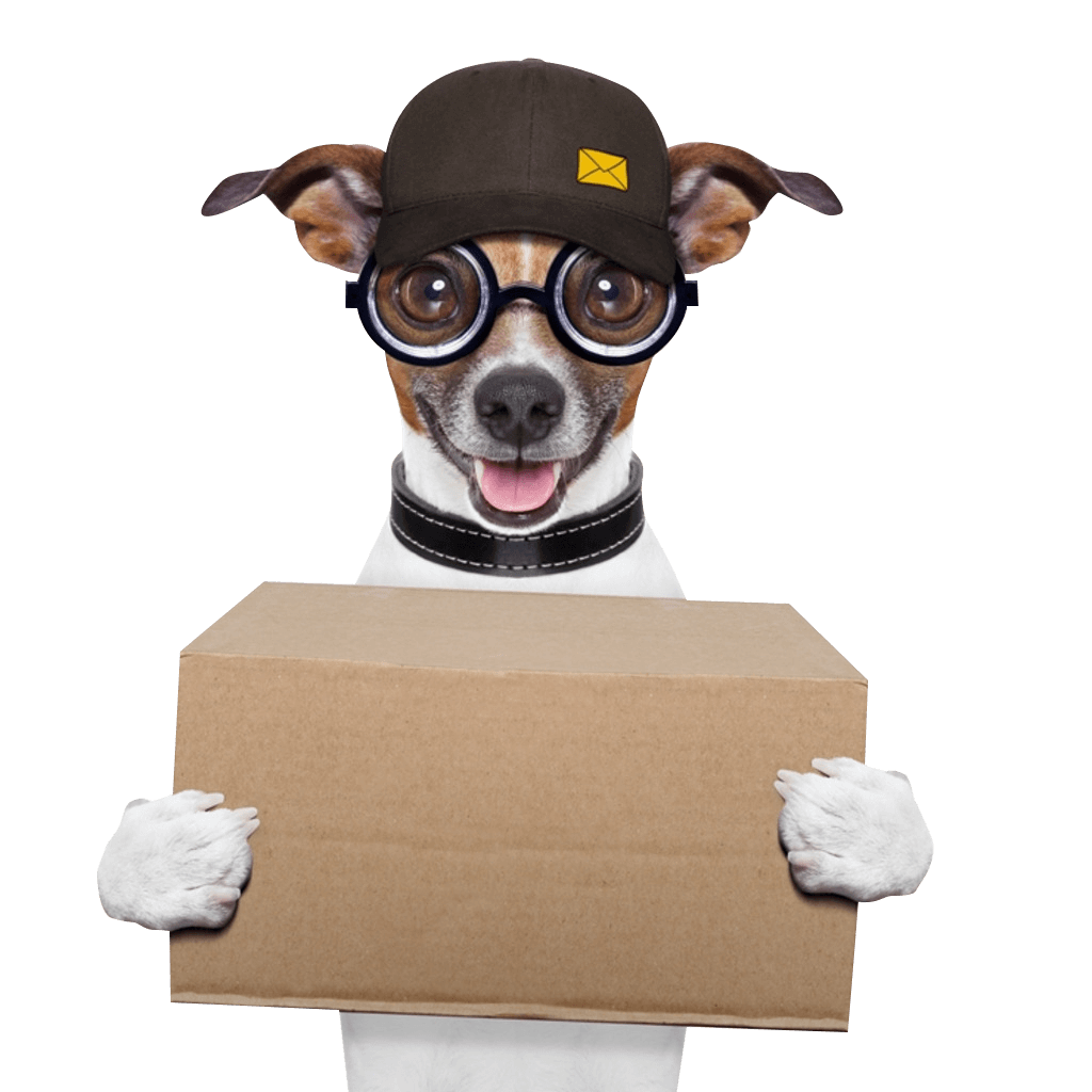 Kuantum Sağlık ve Beslenme Eğitimleri